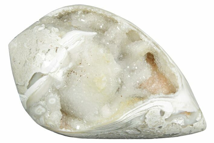Chalcedony Replaced Gastropod With Sparkly Quartz - India #320838